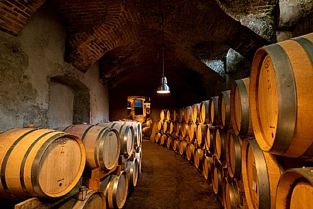 Cellar - Barrels - Wine